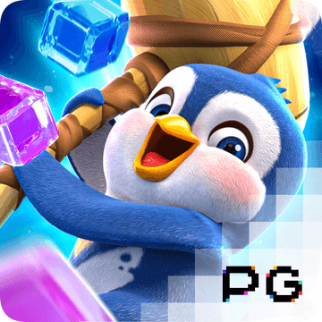 b体育app